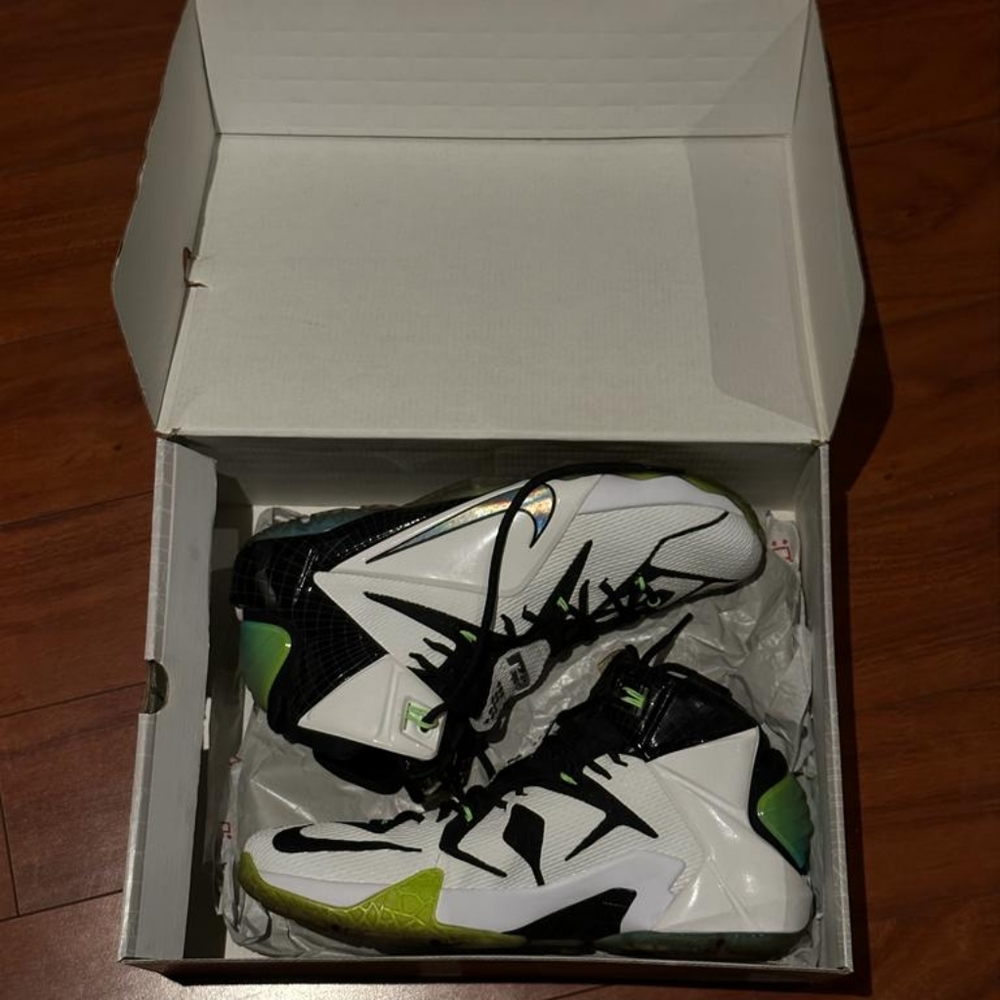 Nike Lebron 12